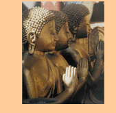 3 Praying Buddhas 